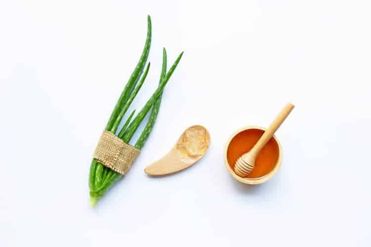honey vs aloe vera for face - bowl and spoon displaying both ingredients, plus fresh aloe stalks