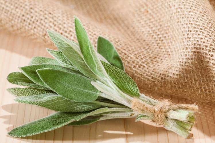 bunch of fresh sage on a table