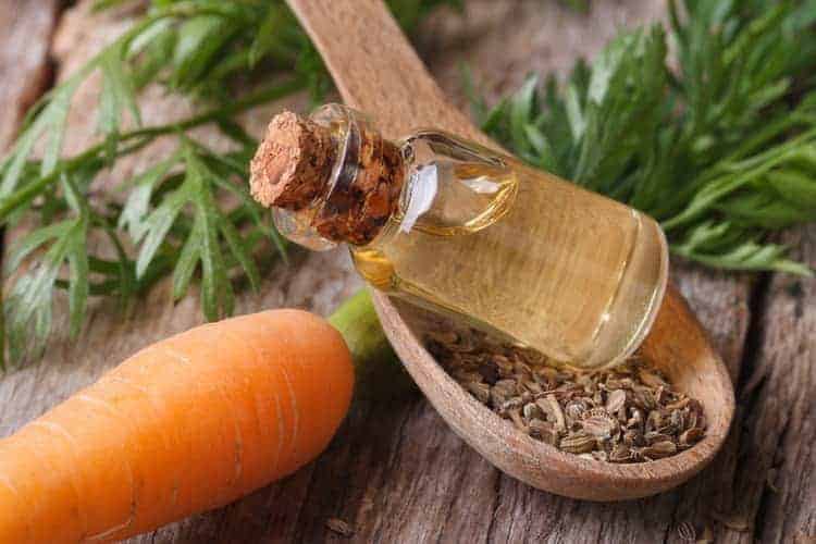 bottle of carrot oil with seeds and root